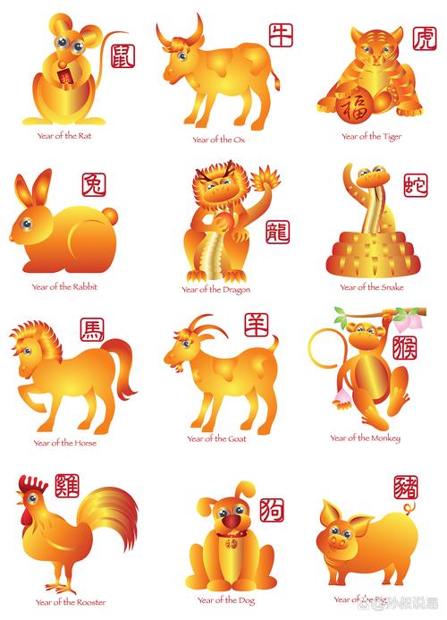 命根代表什么生肖，命根子是什么动物和生肖