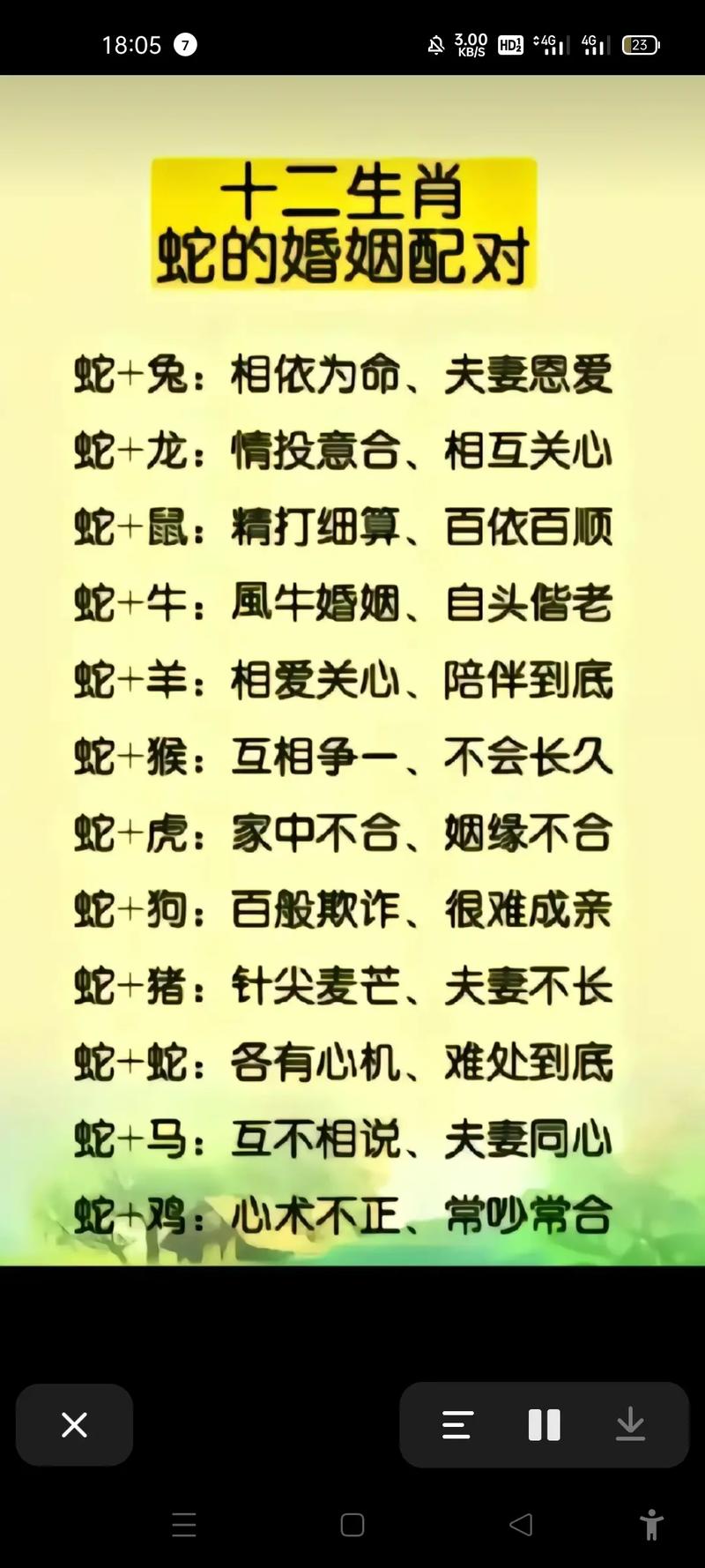 属龙跟什么生肖最配对好，属龙的和什么生肖能配最佳