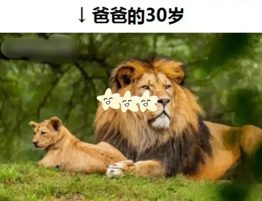 “爷爷的30岁”是什么生肖动物，爷爷的三十岁爸爸的三十岁我的三十岁图片