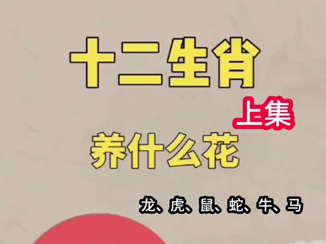 详细阅读:今期生肖看红花,今期生肖看红花是什么生肖 今期生肖看红花,今期生肖看红花是什么生肖