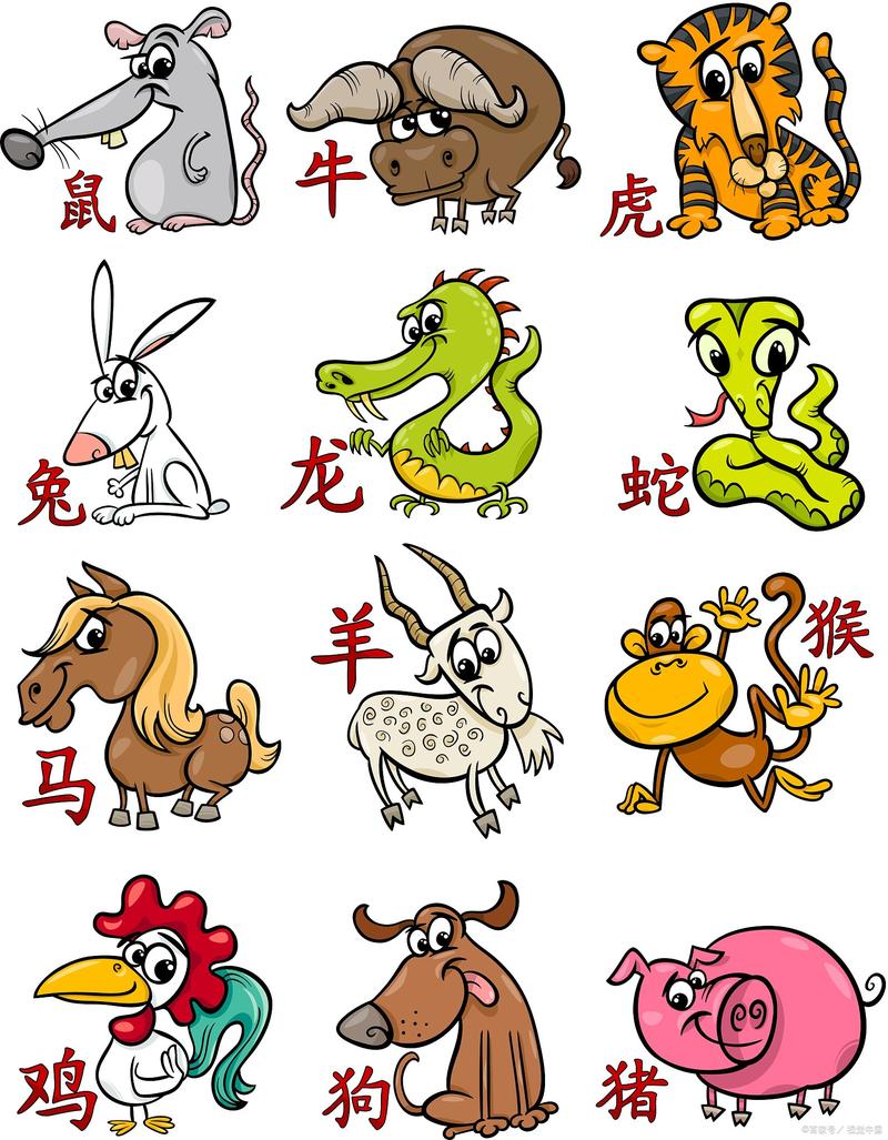明月一般指什么生肖，明月一般指什么生肖动物