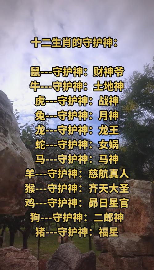 命代表什么生肖，值神司命代表什么生肖