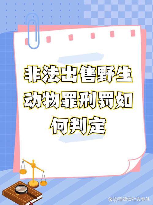 关于滔天大罪打一生肖动物的信息