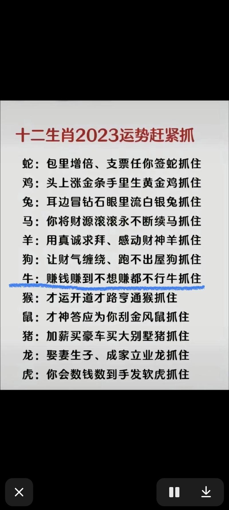 今期生肖头还红正确生肖，生肖今期红红头是什么意思