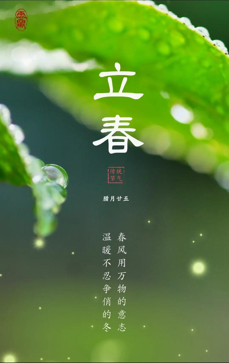 立春是特吗打一生，立春是特吗打一生肖