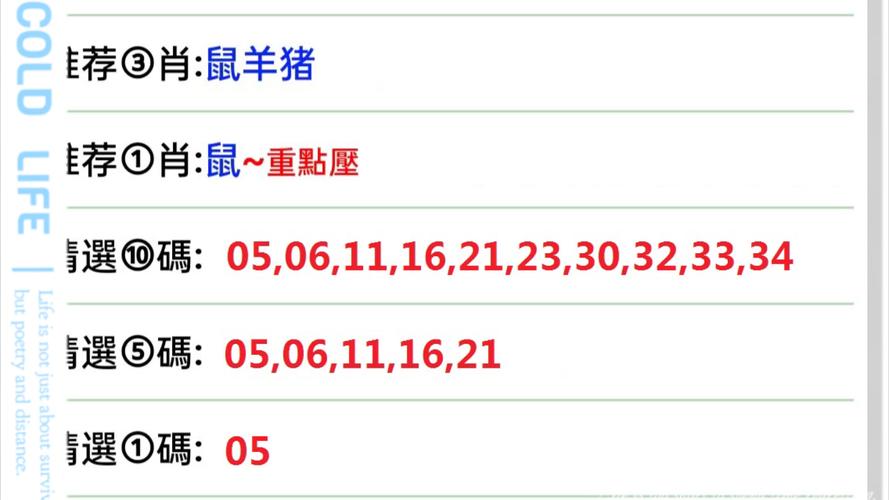 一七今期选马最准确一肖，一七今期定灵码是什么生肖