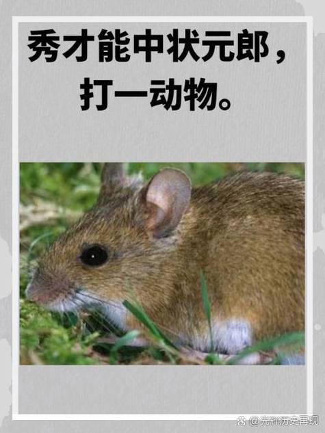 “自静独坐，左思右想。一板三眼数九宫”代表什么生肖的简单介绍