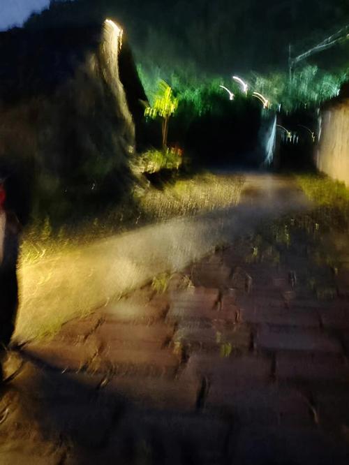 黑灯瞎火打一生肖求正确答案的简单介绍