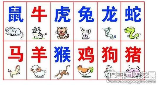 无都一样打一最准确生肖，有无都一样的生肖是什么动物