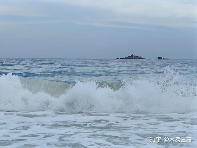 大海捞针打一准确生肖，大海捞针打一准确生肖动物
