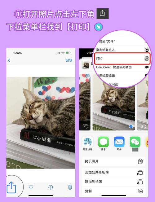 怎么绕开苹果商店下载，怎么绕开苹果商店下载软件