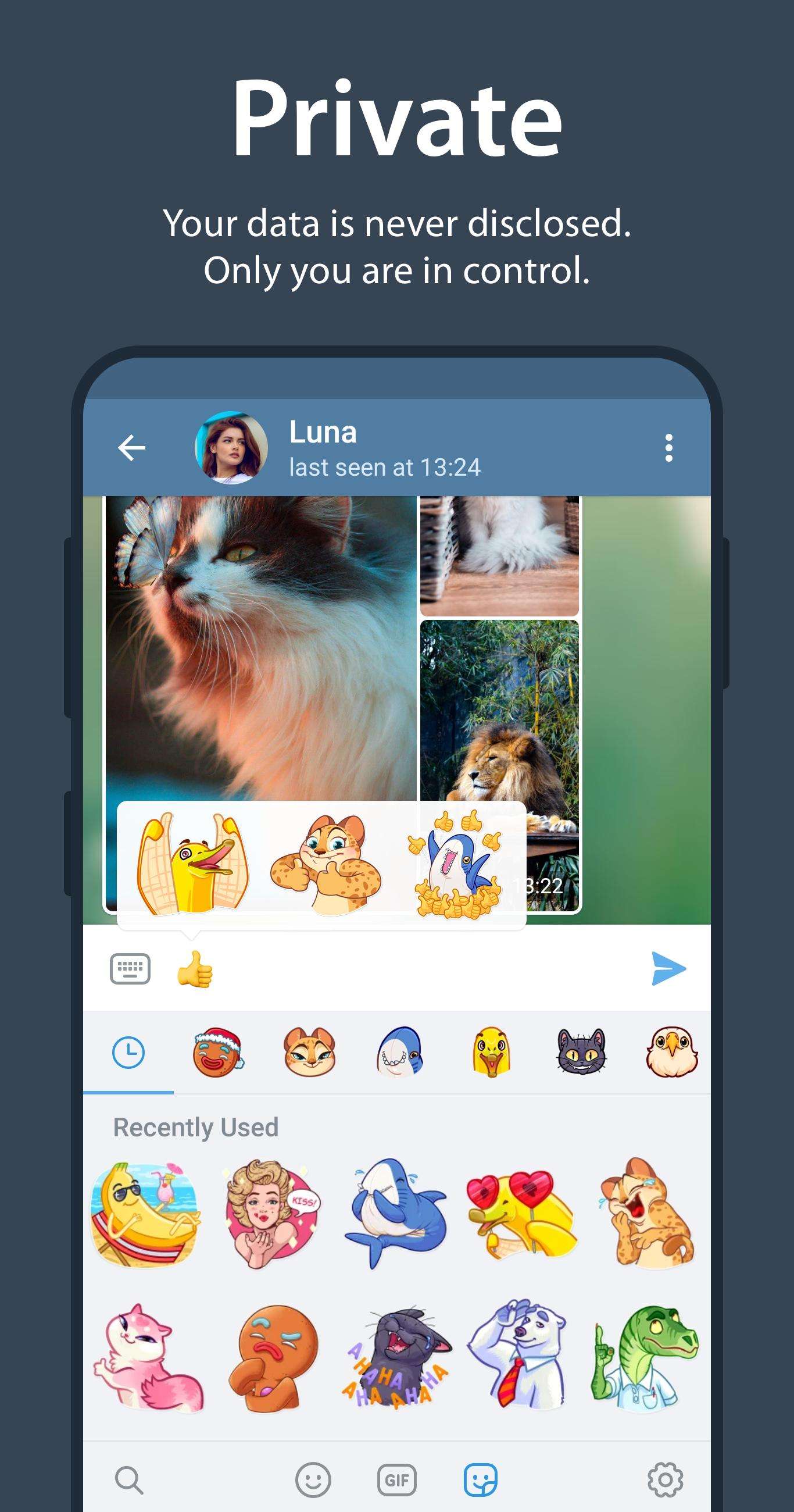 包含telegram直连ios的词条