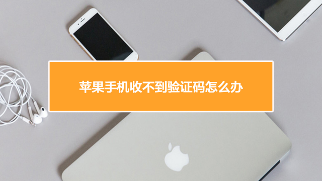 [as2in1怎么收不到验证码]as2in1收不到验证码怎么回事