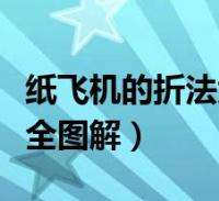 [纸飞机设置中文版]纸飞机怎么设置中文
