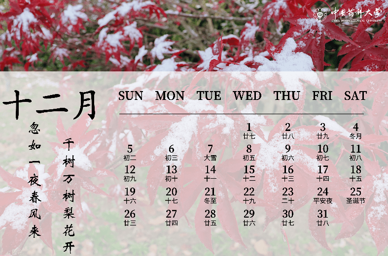 [日历2021日历]日历2021日历表黄道吉日万年历