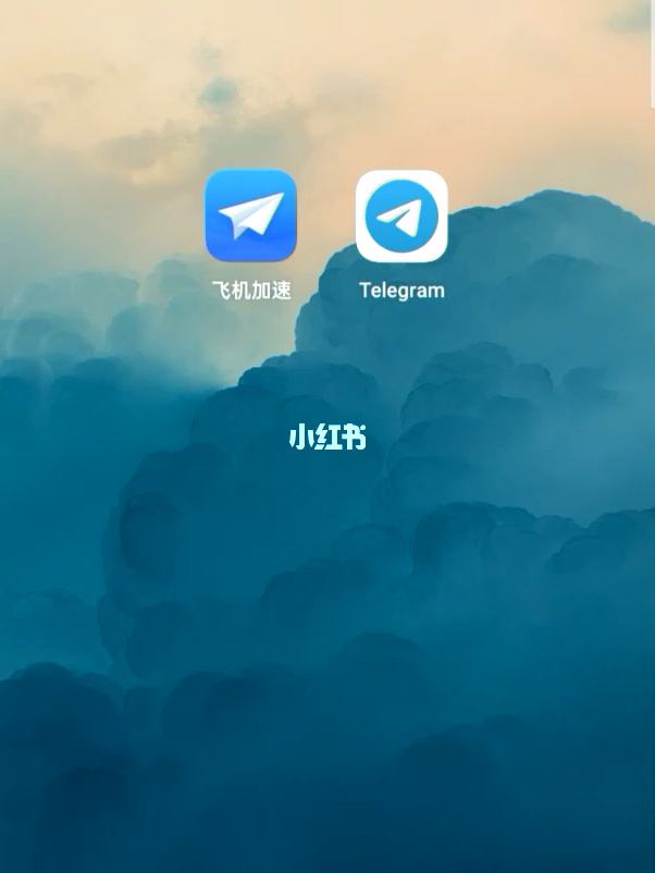 包含Telegram纸飞机ios的词条