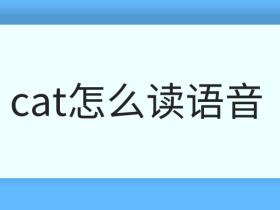 [telescope怎么读语音]telescope的英语怎么读