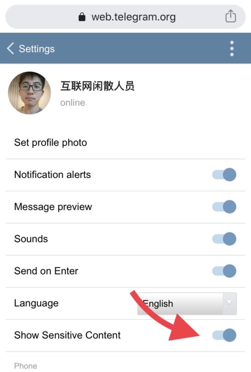 苹果手机安装Telegram的简单介绍