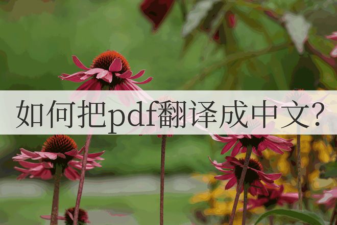 [transfer翻译成中文]transfer from翻译