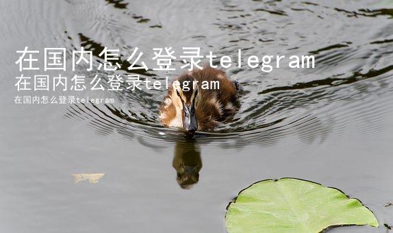 [telegeram登陆流程]telegramios怎么登陆进去