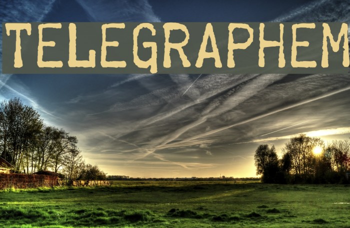 [telegraph中文版官网下载]telegraph apk download