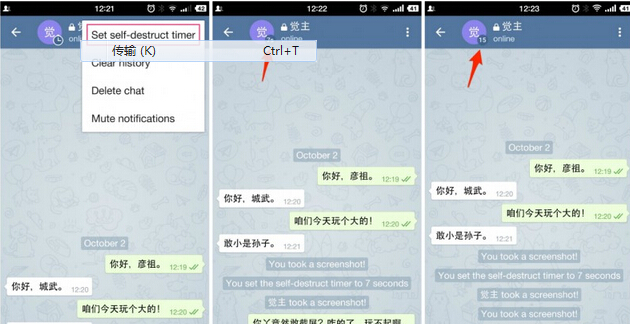 [telegaem如何设置中文]telegreat怎么设置中文