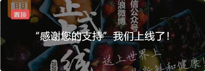 [telegeram7.9.3]telegeramapp聊天软件加速器