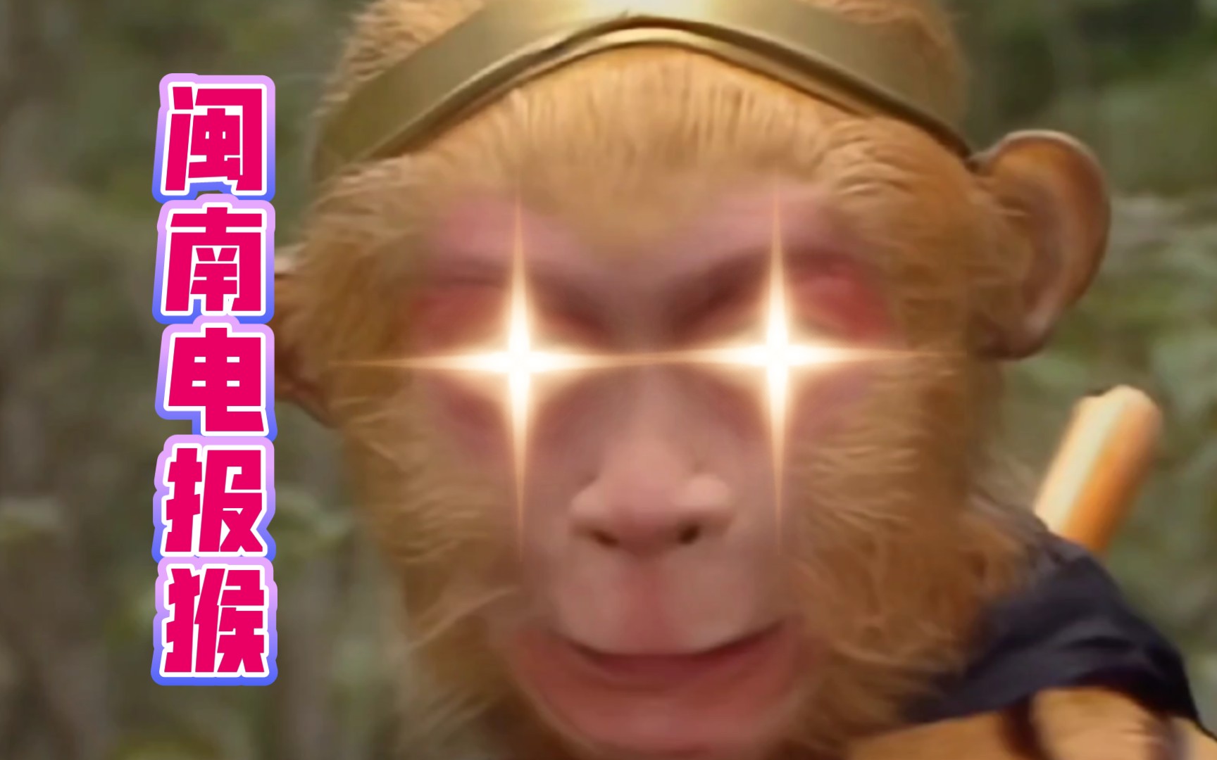 [花果山电报猴无消音视频]你看你长得那个b样孙悟空