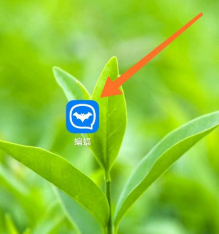蝙蝠app官网下载-蝙蝠app聊天软件官网下载