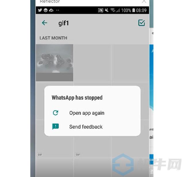 whatsappbusiness安卓最新下载的简单介绍