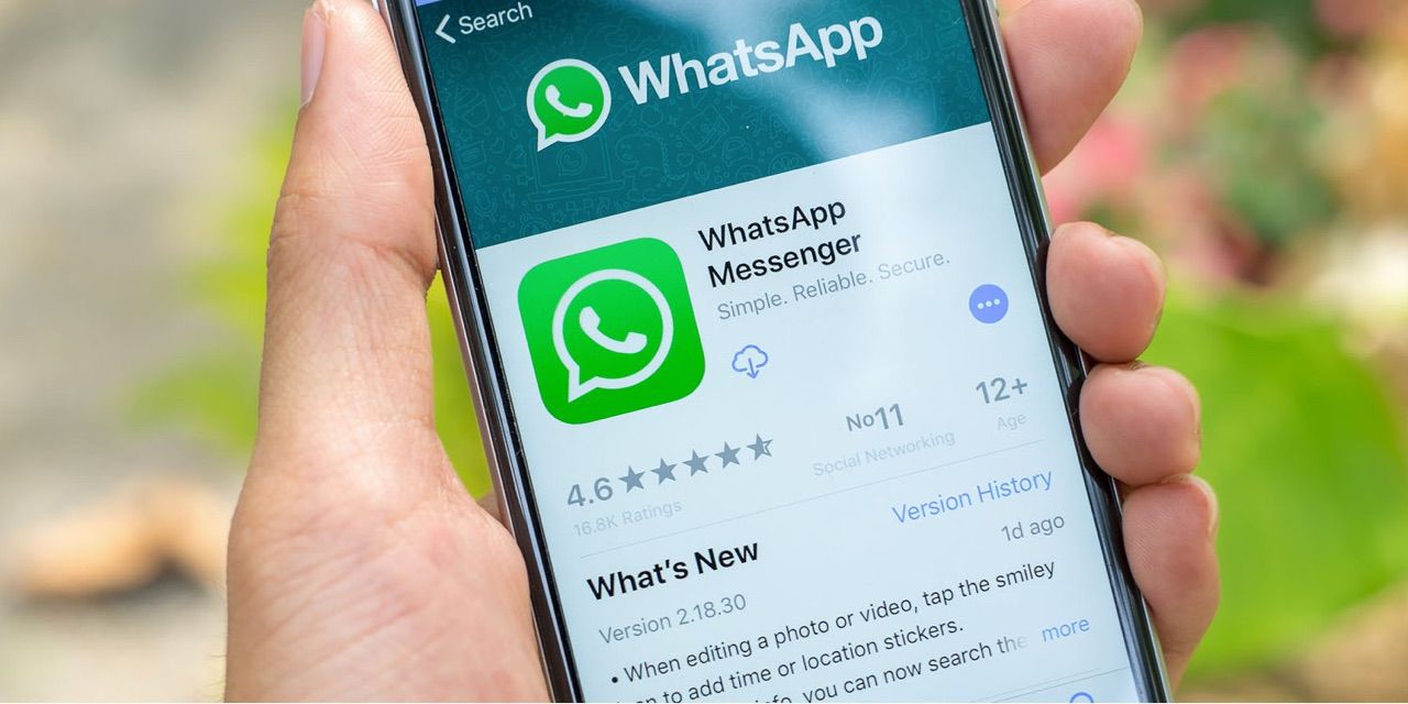 WhatsApp官网-whatsapp官网中文版