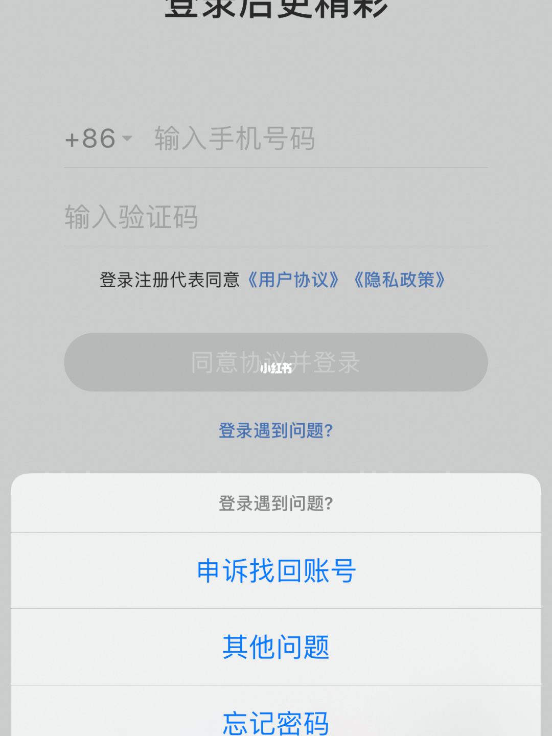 飞机手机号为什么登不上去-飞机手机号为什么登不上去了