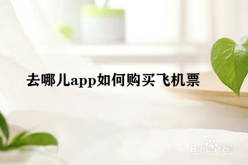 飞机app-飞机app聊天软件下载中文官网
