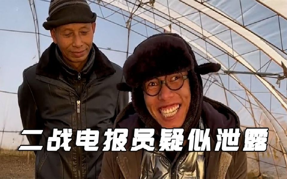 电报员表情包-聊天必备100张表情包