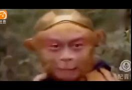 电报猴消音版-电报猴语音可复制
