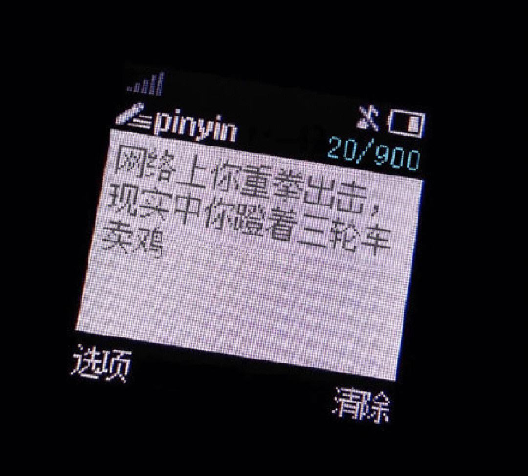 包含国家特级电报员口吐芬芳的词条