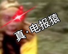 花果山电报员原创-花果山电报员说的什么