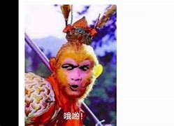 花果山电报员原声-花果山电报员没消音视频