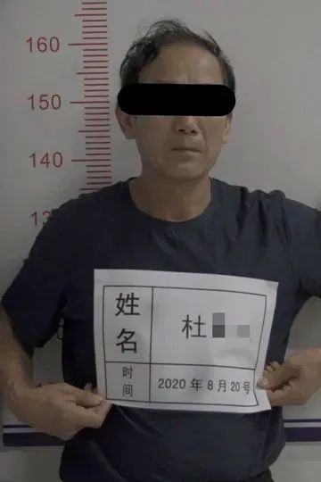 TG强制收购案完整-强制收购案中文TG动画