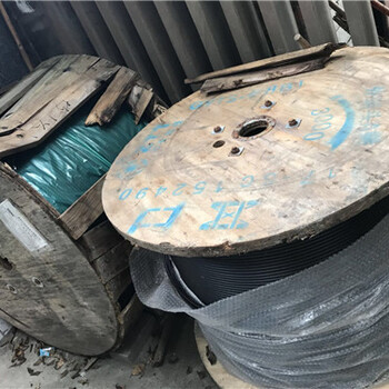 强制收购案TG-强制收购案中文TG动画