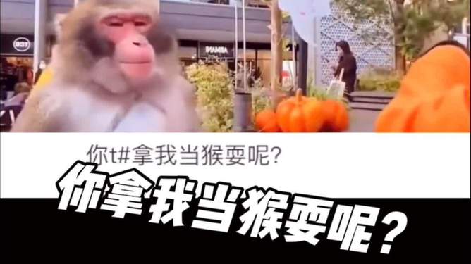 电报猴原声无消音-电报猴原声无消音mp