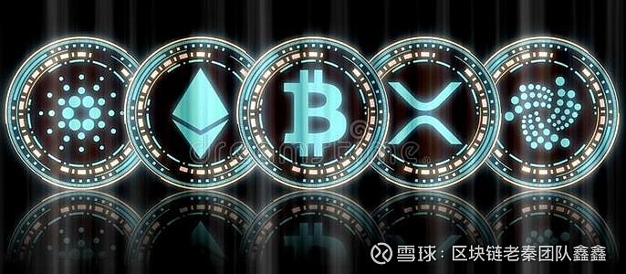 何为公链-什么是公链
