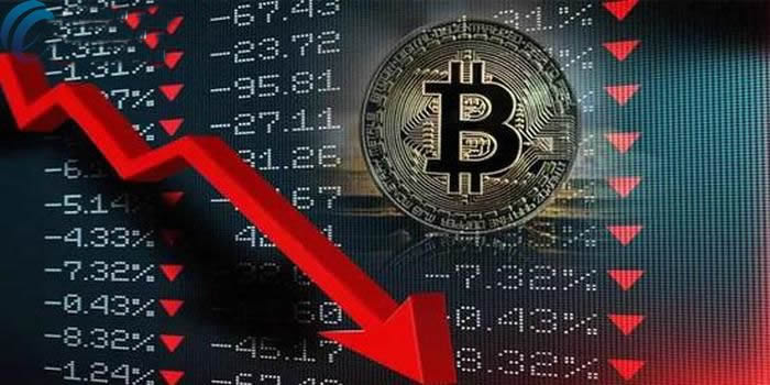 imc数字货币官网下载-imc国际数字货币交易所