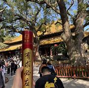 tokenpockt下载-tokenpocket最新版本