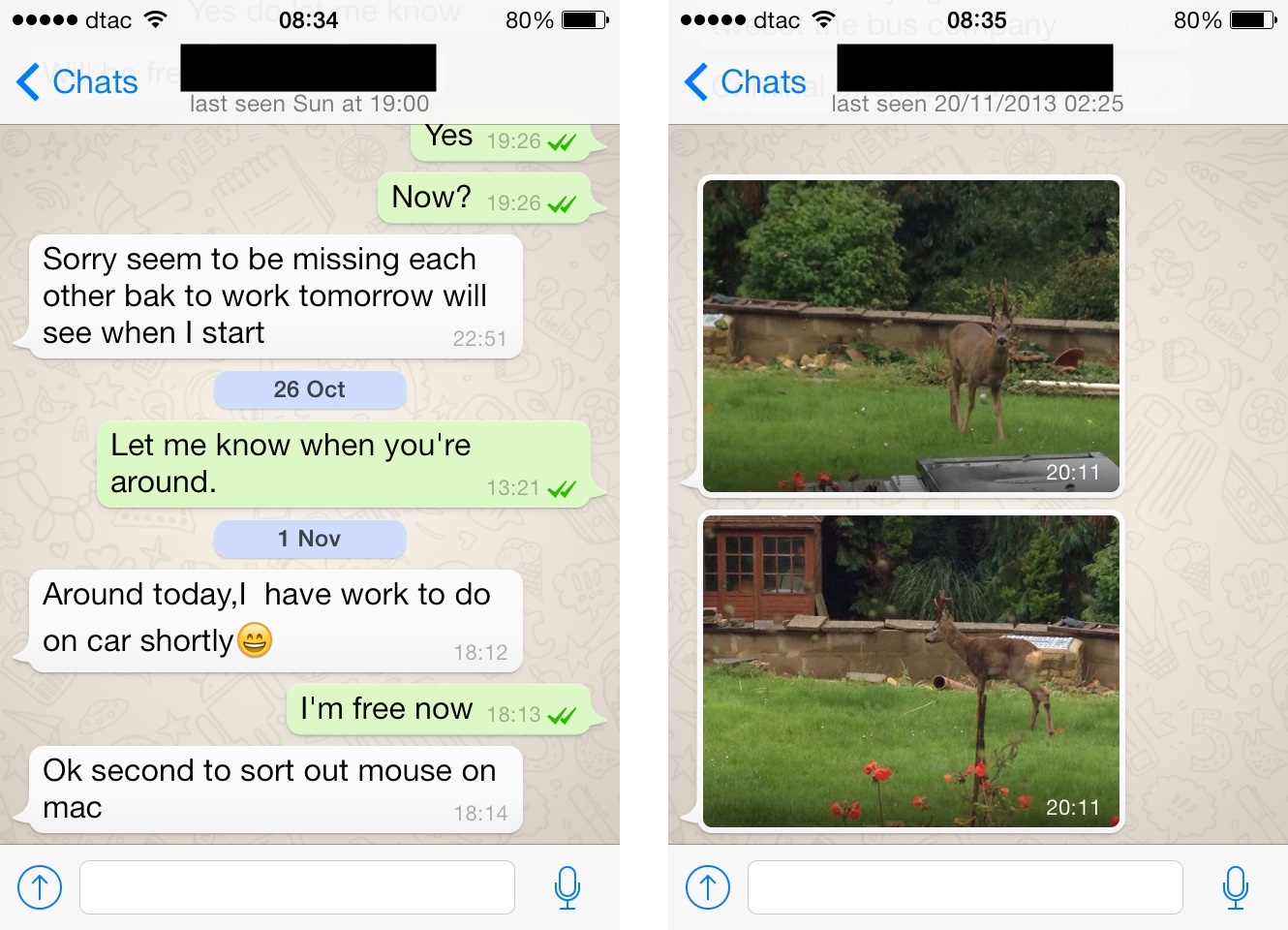 whatsapp新版本下载-whatsapp新版本下载安装