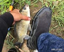 paxg是骗局吗-pacsun是真的吗