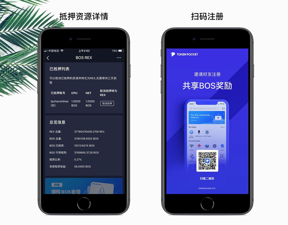 tp钱包国际版-tp钱包国际版本和官方版本的区别