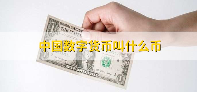 法偿货币-有限法偿货币
