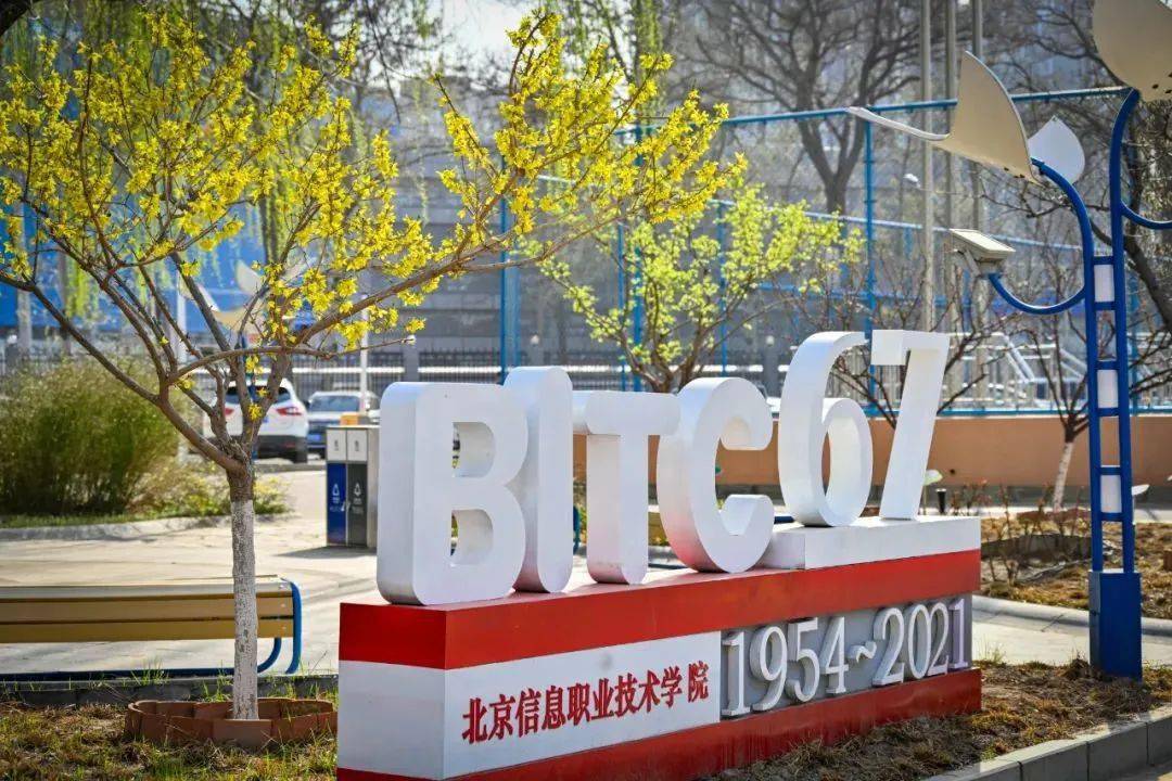 bitc下载-bitc app