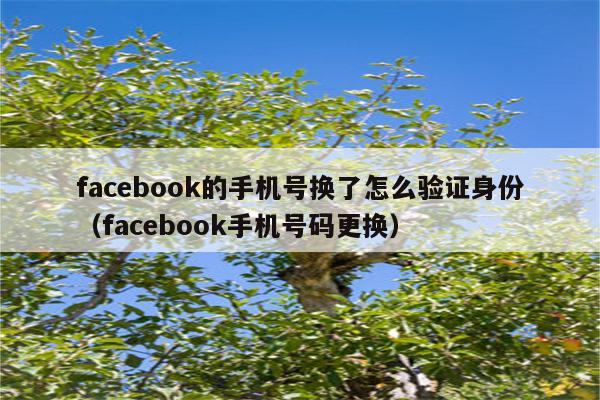 详细阅读:book收不到验证码-为什么在笔记本电脑上面收不到验证码 book收不到验证码-为什么在笔记本电脑上面收不到验证码